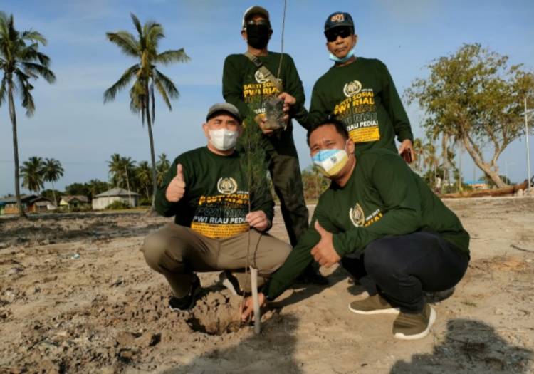 Sambut Hut Hpn Dan Hut Pwi Riau Ke 75 Pwi Tanam Pohon Di Pantai Pesona Rupat